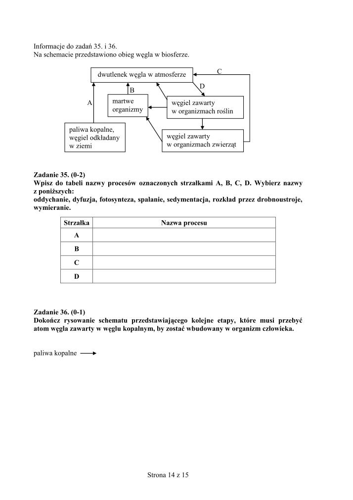 Pytania-czesc-matematyczno-przyrodnicza-egzamin-gimnazjalny-2010-strona-14