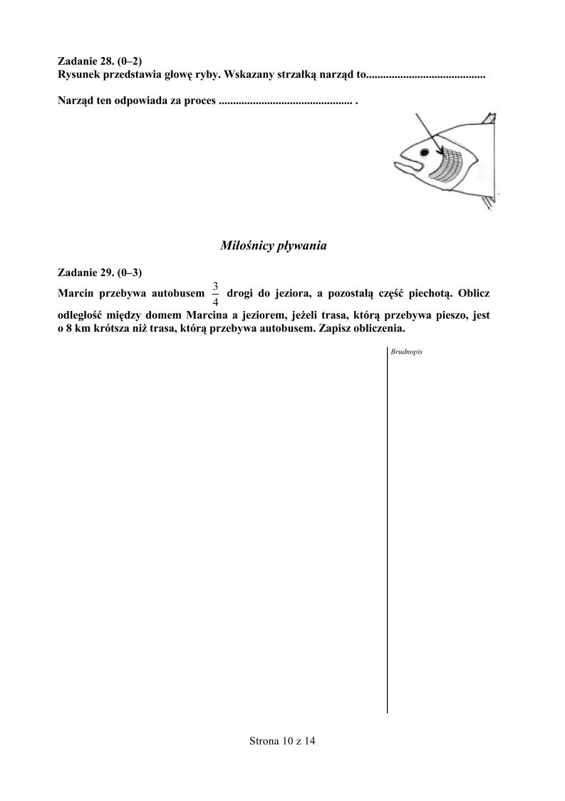 Pytania-czesc-matematyczno-przyrodnicza-egzamin-gimnazjalny-2002-strona-10